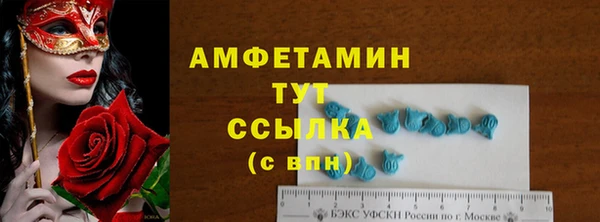 молекула духа Пересвет