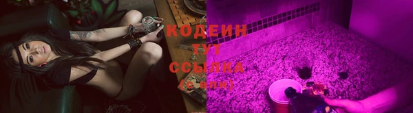 молекула духа Пересвет