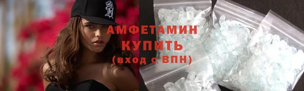 соль ск Дмитриев