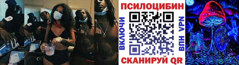 даркнет как зайти Дальнереченск Псилоцибиновые грибы мицелий